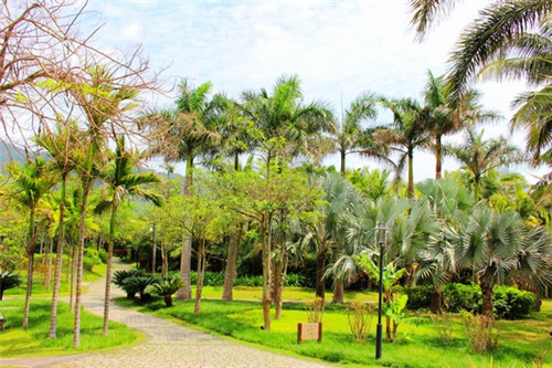 火锅店创业成功案例，记录创业火锅店的文案怎么写