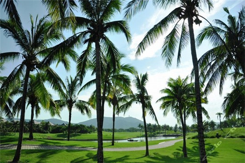 火锅店名家设计方案模板