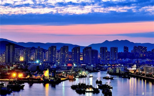 猫咪怎么玩小游戏的（小猫怎样玩）