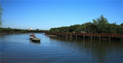 甲冠天下是指什么生肖（甲冠天下的甲什么意思）
